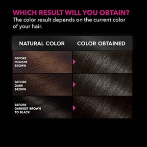Garnier Hair Color Olia Ammonia-Free Brilliant Color Oil-Rich Permanent Hair Dye, 3.11 Darkest Platinum Brown, 1 Count (Packaging May Vary)