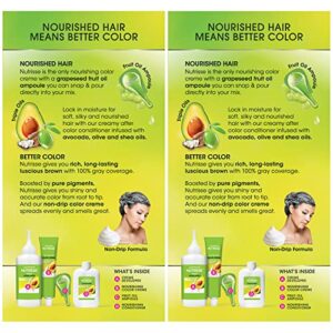 Garnier Hair Color Nutrisse Nourishing Creme, 30 Darkest Brown (Sweet Cola) Permanent Hair Dye, 2 Count (Packaging May Vary)