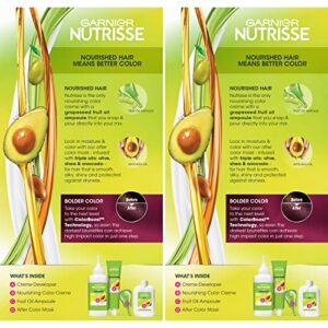 Garnier Hair Color Nutrisse Ultra Color Nourishing Creme, BR2 Dark Intense Burgundy (Passion Fruit) Red Permanent Hair Dye, 2 Count (Packaging May Vary)