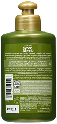 Garnier Hair Care Whole Blends Replenishing Leave-in Conditioner, 10.19 Flu