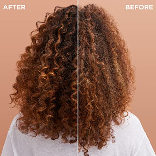 Garnier Haircare Whole Blends Sulfate Free Miracle Frizz Tamer 10-in-1 Frizz Taming Leave-In with Coconut Oil and Cocoa Butter, for Very Frizzy Hair, 2 Count (Packaging May Vary)