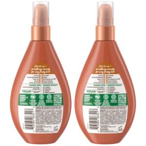 Garnier Haircare Whole Blends Sulfate Free Miracle Frizz Tamer 10-in-1 Frizz Taming Leave-In with Coconut Oil and Cocoa Butter, for Very Frizzy Hair, 2 Count (Packaging May Vary)