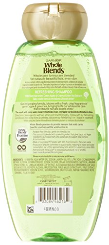 Garnier Whole Blends Shampoo with Green Apple & Green Tea Extracts, Normal Hair, 12.5 fl. oz.