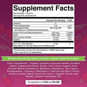 Biotin | Sugar Free | 2 Month Supply | Biotin Gummies | Biotin Vitamins for Hair Skin & Nails | Biotin Gummies for Hair Growth | Vegan | Non-GMO | Gluten Free | 60 Count