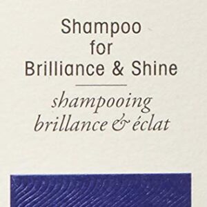 Oribe Shampoo for Brilliance & Shine, 8.5 oz