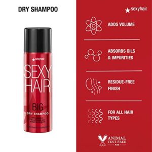 SexyHair Big Dry Shampoo, 3.4 Oz | Remove Oils and Impurities | Provides Additional Volume | All Hair Types