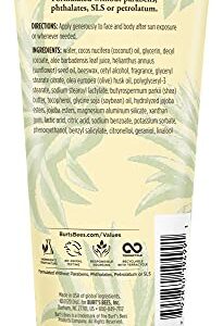 Burt's Bees Lotion, Hydrating Aloe & Coconut Oil Sun Burn Relief, Natural After Sun Soother, 6 Ounce (Packaging May Vary)