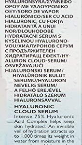 Peter Thomas Roth | Water Drench Hyaluronic Liquid Gel Cloud Serum | Hyaluronic Acid Serum for Fine Lines and Uneven Texture , 1 Fl Oz