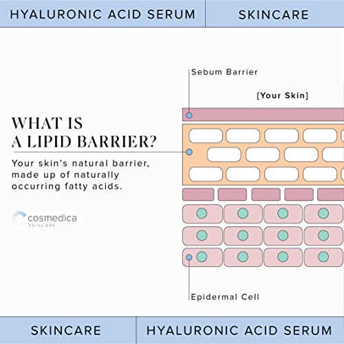 Hyaluronic Acid Serum for Skin 100% Pure Anti Aging Serum Intense Hydration Moisture Non greasy Paraben free Hyaluronic Acid for Your Face Pro Formula 2 oz