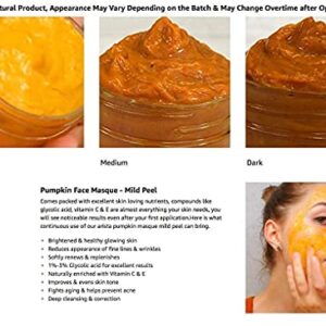 4 fl. Oz. Arista Pumpkin Enzyme Mask - Exfoliating mask for Uneven tone, Fine lines and Dullness. Clarifying mask.