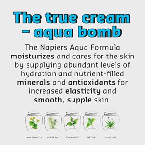 belif The True Cream Aqua Bomb | Rich yet Weightless Face Moisturizer for Combination to Oily Skin | Antioxidants, Lady Mantle & Oat Husk | Daily Hydrating Facial Cream Minimizes Pores