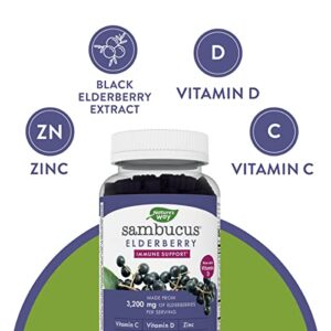 Nature’s Way Sambucus Elderberry Gummies, With Vitamin C, Vitamin D and Zinc, Immune Support for Kids and Adults*, 60 Gummies (Packaging May Vary)