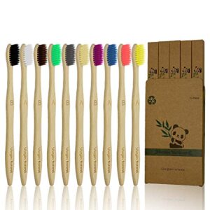 virgin forest 10 pcs soft bristles bamboo toothbrush, biodegradable natural bamboo charcoal toothbrushes, eco friendly color bristle wood tooth brushes