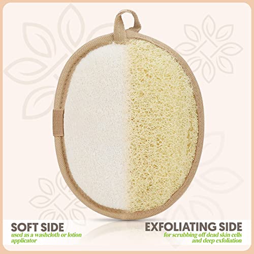 Almooni Premium Exfoliating Loofah Pad Body Scrubber, Made with Natural Egyptian Shower loofa Sponge That Gets You Clean, Not Just Spreading Soap - 2 Count( 1 Pack)