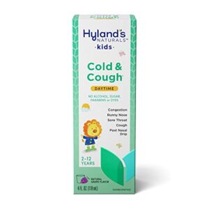 hyland’s cold medicine for kids ages 2+ by hylands, daytime for cough, decongestant, allergy symptom relief, 4 fl oz