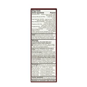 Hyland's Cold and Cough Mucus Relief Decongestant Defend by Homeopathic Cold Plus Mucus Fluid Ounce, Red, 4 Fl Oz