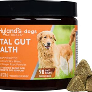 Hyland's Naturals - Probiotics for Dogs - Total Gut Health - with ACTIGEN PREBIOTIC and Organic Ginger Root, 90 Soft Chews