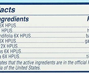 Hyland's Baby Cough Syrup -- 4 fl oz