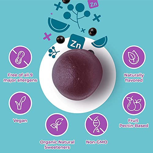 HYLAND'S Naturals Adult & Kids Organic Elderberry Plus Gummies, Organic Black Elderberry with ZINC & Vitamin C, Immune Support for Adults &Children, 60 Vegan Adult Gummies + 48 Vegan Kids Gummies