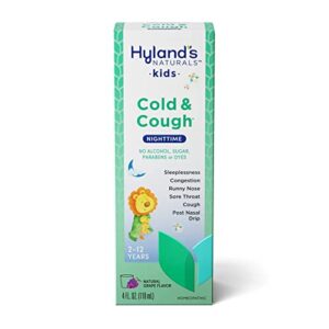 hyland kids cold n cough 4 ounce