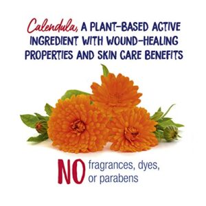 Boiron Calendula Cream for First Aid, Minor Burns, Cuts, Scrapes, Insect Bits and Sunburn - 2.5 oz