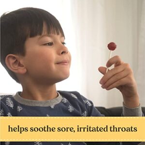 Burt's Bees Kids Throat Soothing Pops with Natural Manuka Honey, Cherry Flavor, 15 Count