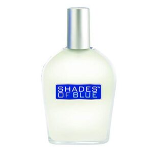 PB ParfumsBelcam Shades of Blue for Men our Version of Dolce & Gabanna Light Blue EDT,White,3.4 Fl Oz (Pack of 1)