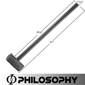 Philosophy Gym Fitness Hammer, 25 LB - Steel Hammer for Strength Training