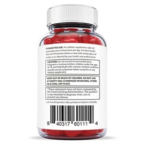 Justified Laboratories Total ACV Heath Keto Gummies 1000MG with Pomegranate Juice Beet Root B12 60 Ketos Gummys