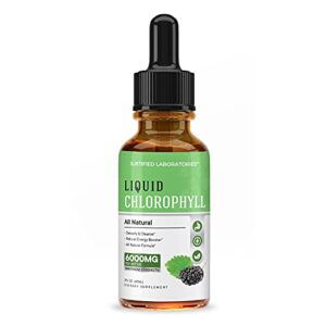 (2 Pack) Liquid Chlorophyll Drops 6000MG Maximum Strength Green Concentrate Packed with Antioxidants Minerals and Vitamins 2 FL OZ Bottle (2 Bottles)