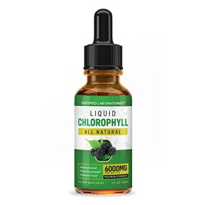 (3 Pack) Liquid Chlorophyll Drops Maximum Strength 6000MG Fast Absorbing All Natural Green Concentrate Supplement Loaded with Antioxidants Minerals Multivitamins 2 FL Oz