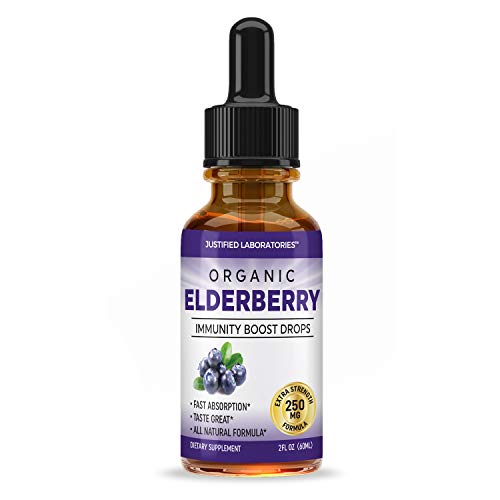 Organic Elderberry Drops Liquid Extract Daily Immune System Support 250MG Sambucus Nigra Antioxidant Berry Flavor for Kids & Adults