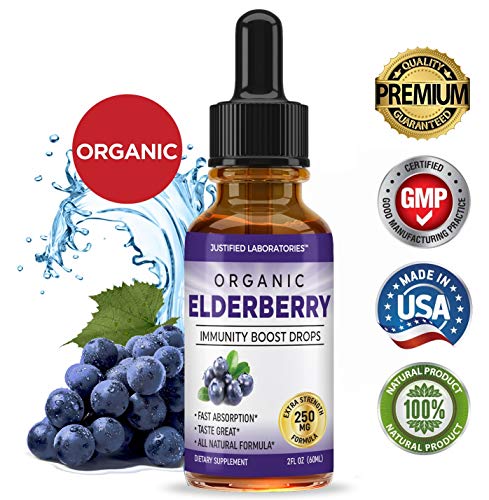 Organic Elderberry Drops Liquid Extract Daily Immune System Support 250MG Sambucus Nigra Antioxidant Berry Flavor for Kids & Adults