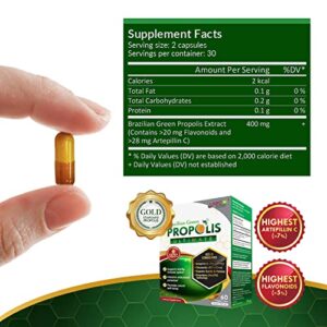 LABO Nutrition Brazilian Green Propolis Ultimate - Contains >7% or 28mg/Serving Artepillin C & >5% Flavonoids, for Immune & Brain Support, Natural, High Concentrate & Premium, 60 Veg Capsulesx3