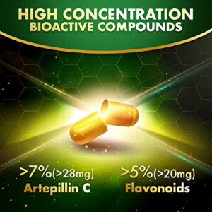 LABO Nutrition Brazilian Green Propolis Ultimate - Contains >7% or 28mg/Serving Artepillin C & >5% Flavonoids, for Immune & Brain Support, Natural, High Concentrate & Premium, 60 Veg Capsulesx3