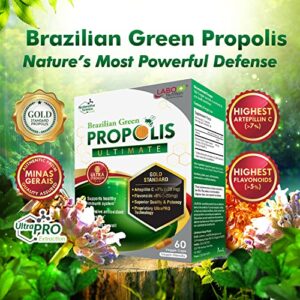 LABO Nutrition Brazilian Green Propolis Ultimate - Contains >7% or 28mg/Serving Artepillin C & >5% Flavonoids, for Immune & Brain Support, Natural, High Concentrate & Premium, 60 Veg Capsulesx3