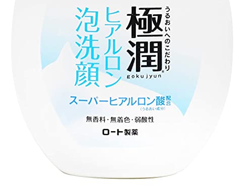 Hada Labo Rohto Gokujyn Hyaluronic Acid Cleansing Foam, 160ml