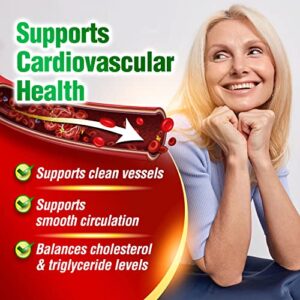 LABO Nutrition VesseCLEAR EX + VesseCLEAR CX: Nattokinase NSK-SD + Elastin F + Gamma Oryzanol, for Clean & Flexible Blood Vessel, for Cardiovascular, Blood Pressure & Circulation Support