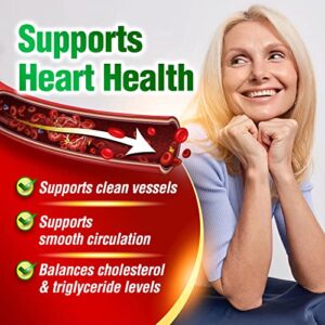 LABO Nutrition VesseCLEAR CX: Nattokinase NSK-SD + Gamma Oryzanol for Clean Blood Vessel & Healthy Ageing, Japan's Most Clinically Studied, Support Healthy Cholesterol, Heart, Vegan, 60sx3