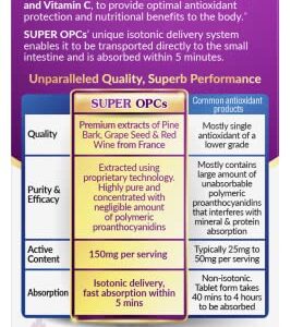 LABO Nutrition Super OPCS – Premium French Maritime Pine Bark Extract, 150mg per Serving – for Healthy Circulation, Radiant Skin, Immunity, Heart Health, Antioxidant Protection – Gluten Free