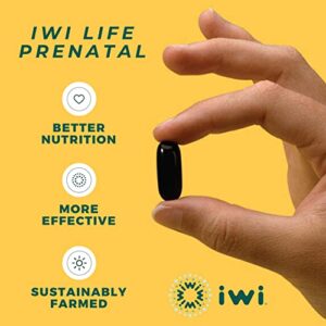 Iwi Prenatal Multivitamin with DHA, EPA, Omega Fatty Acids, Folate, Iron, Vitamin A, C, D3, E, K2, B6, B12, Calcium, Iodine, Niacin, Chlorophyll, Zinc - 60 Gluten-Free, Vegan Softgels (30 Day Supply)