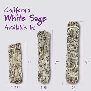 ESPOIR & AMOUR White Sage 4" - 25 Spiritual Sage Sticks for Smudging, Healing and Ritual - Hand-Tied Sage Smudge Sticks to Cleanse Negativity - Sustainably Harvested 4 Inch Californian Sage Bundle