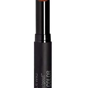 wet n wild ipstick Perfect Pout Lipstick Lip Color Fall Red Extra Cinnamon Please | Non-Tacky | Non-Sticky | Long Lasting