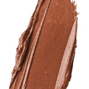 wet n wild ipstick Perfect Pout Lipstick Lip Color Fall Red Extra Cinnamon Please | Non-Tacky | Non-Sticky | Long Lasting