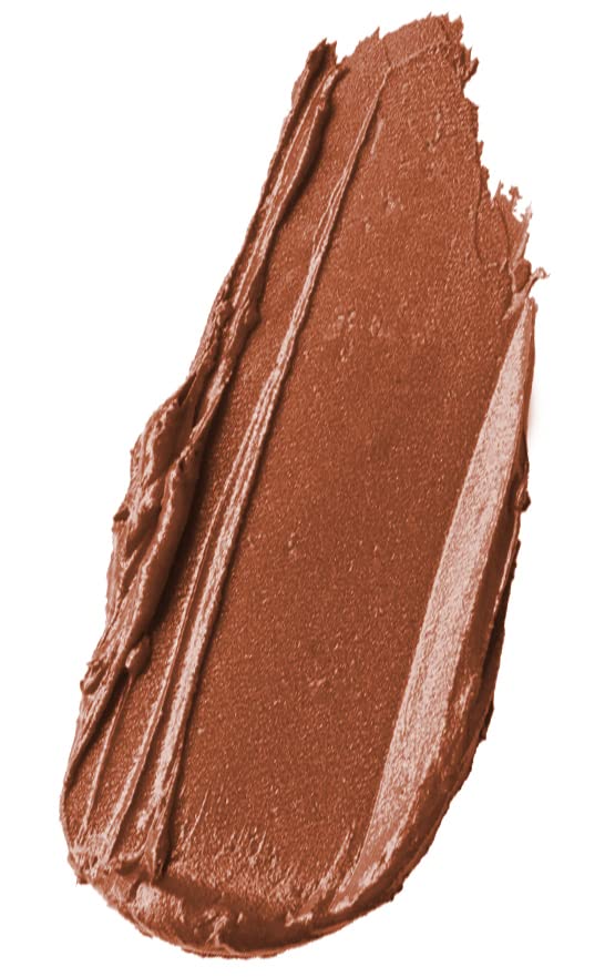 wet n wild ipstick Perfect Pout Lipstick Lip Color Fall Red Extra Cinnamon Please | Non-Tacky | Non-Sticky | Long Lasting
