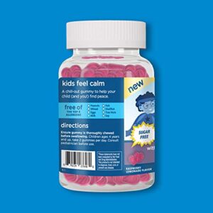 Mommy's Bliss Kids Feel Calm Gummies, Support a Sense of Calm and Relax The Body, Made with Magnesium, L-theanine, Sugar Free Raspberry Lemonade Flavor, Age 4+, 60 Gummies