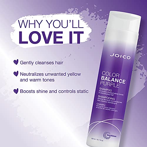 Color Balance Purple Shampoo | For Cool Blonde, Gray Hair | Eliminate Brassy Yellow Tones | Boost Color Vibrancy & Shine | UV Protection | With Rosehip Oil & Green Tea Extract | 10.1 Fl Oz