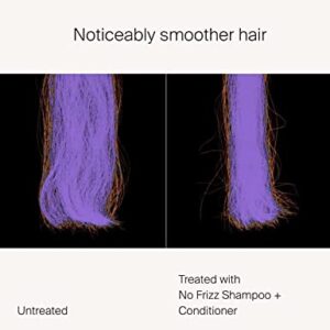 Living proof No Frizz Shampoo + Conditioner Bundle