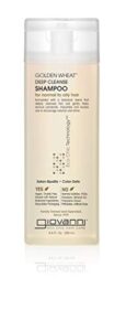 giovanni eco chic golden wheat deep cleanse shampoo, 8.5 oz. – deep cleansing with botanical oils, spearmint oil + aloe vera, normal to oily hair