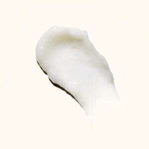 curl corps defining cream, 200ml | amika